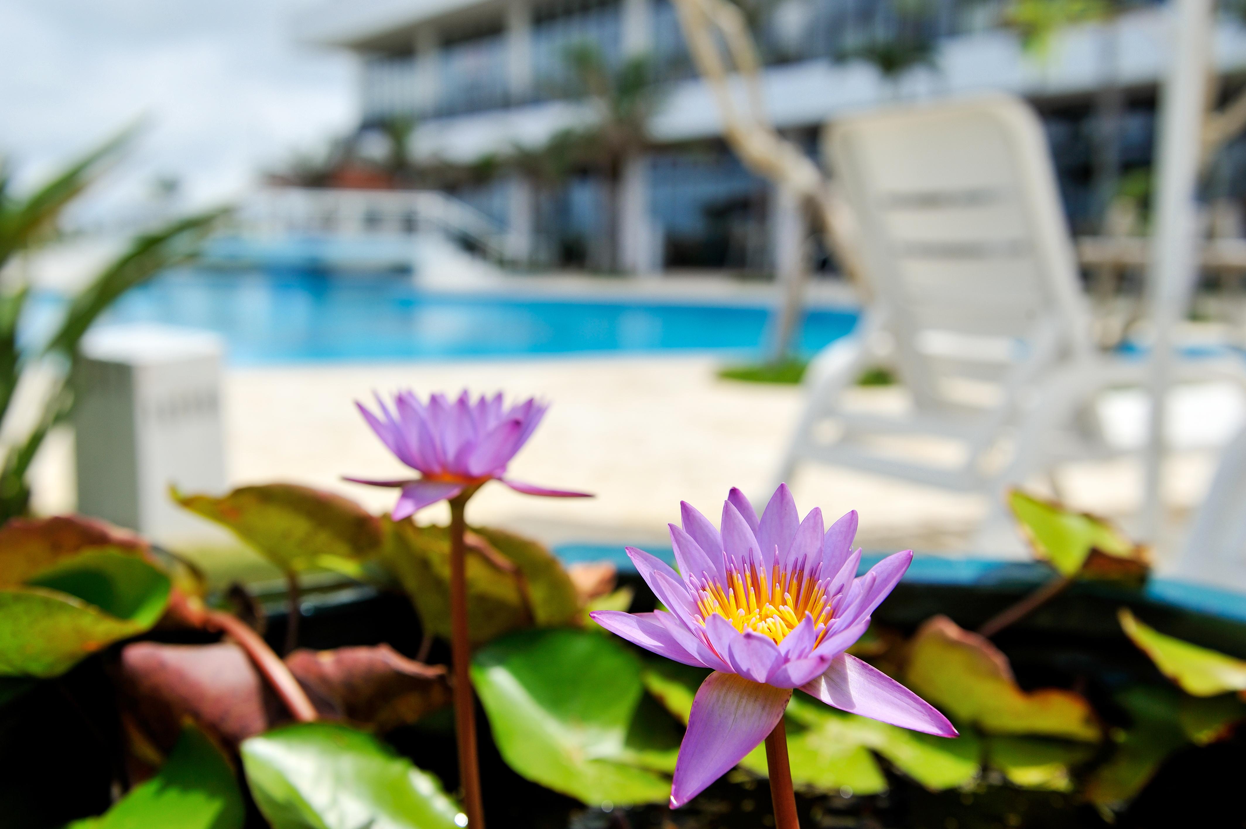Southern Beach Hotel & Resort Itoman Exteriör bild